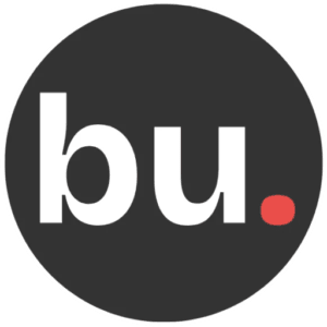 wordpress-developer